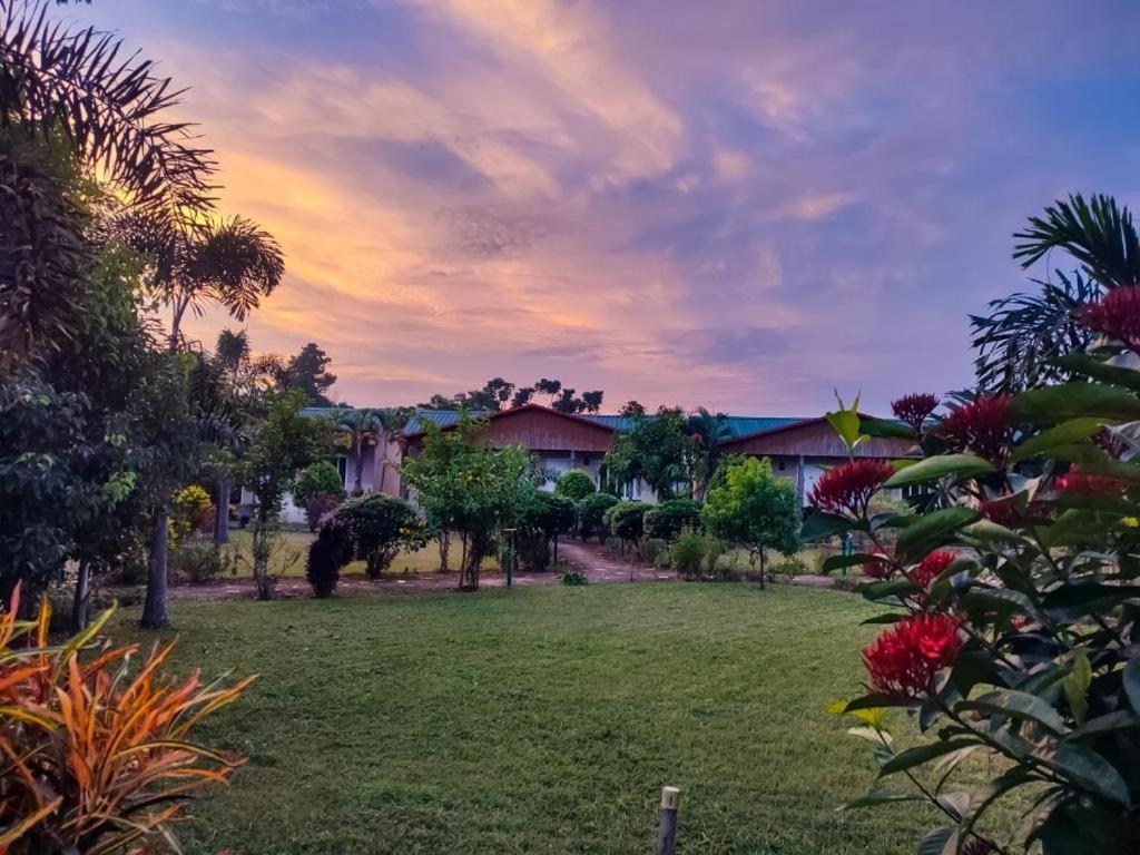 Hotel Greenland Safari Sauraha Dış mekan fotoğraf