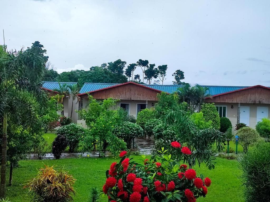 Hotel Greenland Safari Sauraha Dış mekan fotoğraf